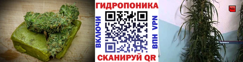Cannafood конопля  Архангельск 