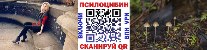 Псилоцибиновые грибы Cubensis Архангельск