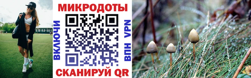наркотики  кракен   Псилоцибиновые грибы Cubensis  Архангельск 
